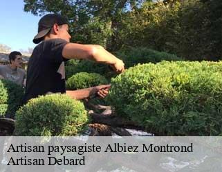 Artisan paysagiste  albiez-montrond-73300 Artisan Debard