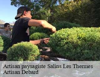 Artisan paysagiste  salins-les-thermes-73600 Artisan Debard