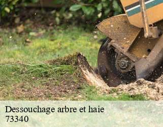 Dessouchage arbre et haie  73340