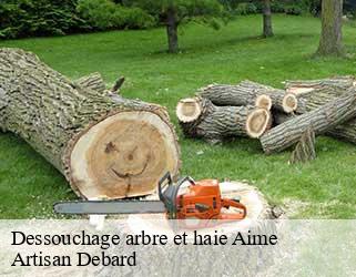 Dessouchage arbre et haie  aime-73210 Artisan Debard