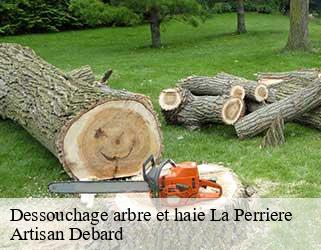 Dessouchage arbre et haie  la-perriere-73120 Artisan Debard