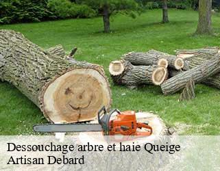 Dessouchage arbre et haie  queige-73720 Artisan Debard