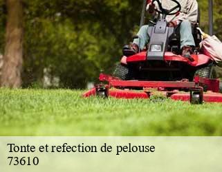 Tonte et refection de pelouse  73610