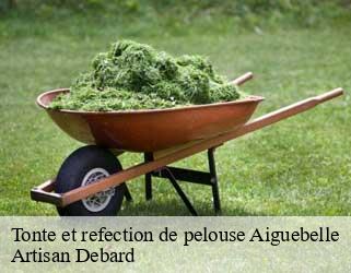 Tonte et refection de pelouse  aiguebelle-73220 Artisan Debard