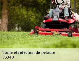 Tonte et refection de pelouse  73340