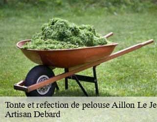 Tonte et refection de pelouse  aillon-le-jeune-73340 Artisan Debard