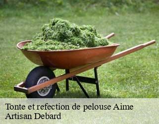 Tonte et refection de pelouse  aime-73210 Artisan Debard