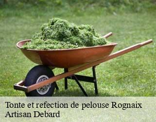 Tonte et refection de pelouse  rognaix-73730 Artisan Debard