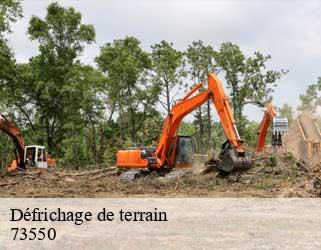 Défrichage de terrain  73550