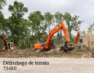 Défrichage de terrain  73480