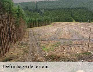 Défrichage de terrain