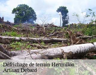 Défrichage de terrain  hermillon-73300 Artisan Debard