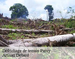 Défrichage de terrain  pussy-73260 Artisan Debard