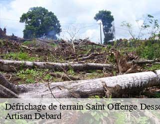 Défrichage de terrain  saint-offenge-dessous-73100 Artisan Debard