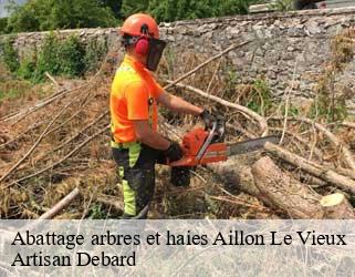 Abattage arbres et haies  aillon-le-vieux-73340 Artisan Debard