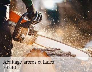 Abattage arbres et haies  73240