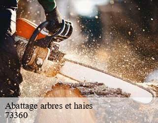 Abattage arbres et haies  73360