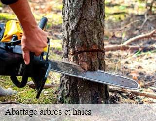 Abattage arbres et haies