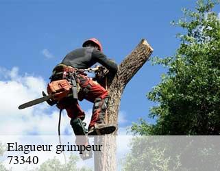 Elagueur grimpeur  73340