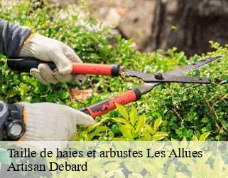 Taille de haies et arbustes  les-allues-73550 Artisan Debard