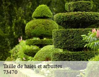 Taille de haies et arbustes  73470