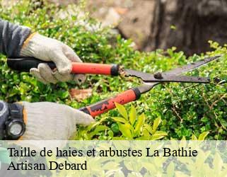 Taille de haies et arbustes  la-bathie-73540 Artisan Debard