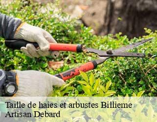 Taille de haies et arbustes  billieme-73170 Artisan Debard