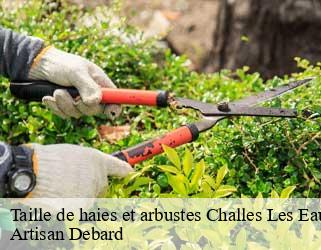 Taille de haies et arbustes  challes-les-eaux-73190 Artisan Debard