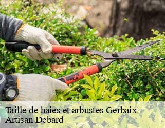 Taille de haies et arbustes  gerbaix-73470 Artisan Debard