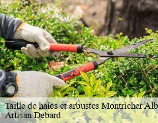 Taille de haies et arbustes  montricher-albanne-73870 Artisan Debard