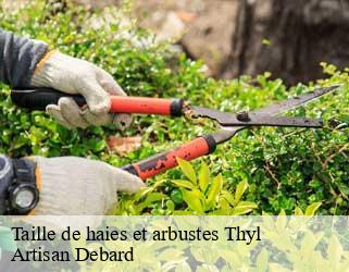 Taille de haies et arbustes  thyl-73140 Artisan Debard